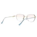 Cleara Glasses